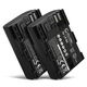 2x Batteria 2000mAh
