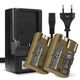 2x Batteria 1600mAh + Caricabatteria