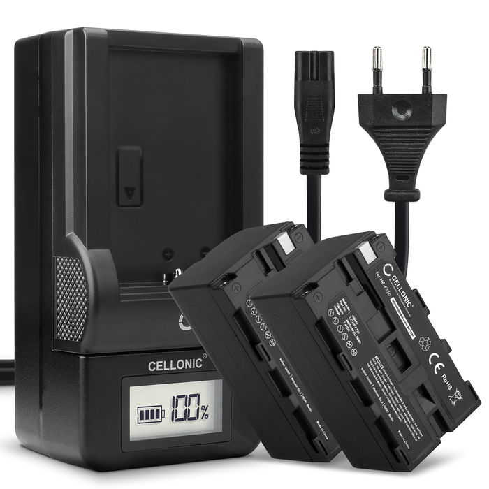 2x Sony HXR-NX100 Batteria