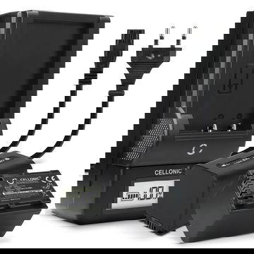 2x Batteria per Sony AX100 FDR-AX700 PXW-Z90 HXR-NX80 HDR-CX625 -CX680 -CX900 -CX450 NEX-VG30 VG20 -VG10 - NP-FV90 1500mAh + Caricabatteria di Ricambio sostituzione scorta