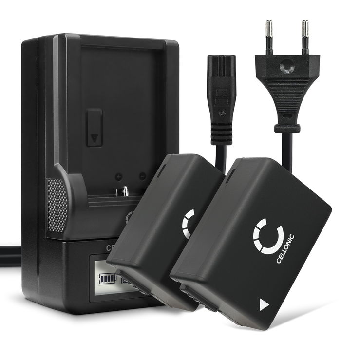 2x Panasonic Lumix DC-FZ82 Batteria