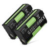 2x Batteria 1600mAh