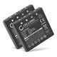 2x Batteria 700mAh