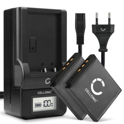 2x Batteria per Pentax Q Q7 Q10, Pentax Optio VS20 S12 S10 A40 A36, Ricoh WG-M2 - D-Li68 700mAh + Caricabatteria di Ricambio sostituzione scorta