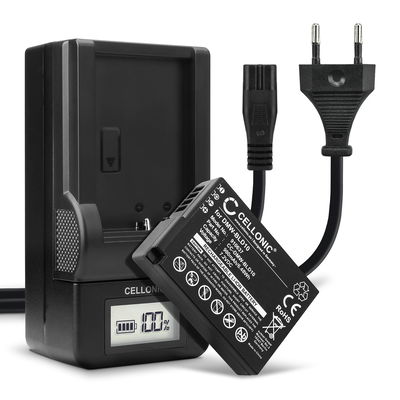 2x Batteria per Panasonic Lumix DMC-GX1 Lumix DMC-G3 Lumix DMC-GF2 Lumix DMC-ZS7 Lumix DMC-TS2 - DMW-BLD10 900mAh + Caricabatteria DMW-BLD10 di Ricambio sostituzione scorta