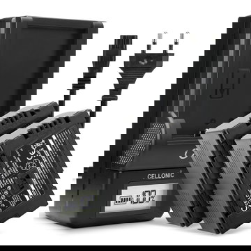 2x Batteria per Panasonic AG-DVX100 NV-GS11 NV-DS60 NV-GS1 NV-DS27 NV-DS29 NV-MX500 NV-DA1 NV-DS15 - CGA-D54 CGR-D120 -D220 2200mAh + Caricabatteria di Ricambio sostituzione scorta