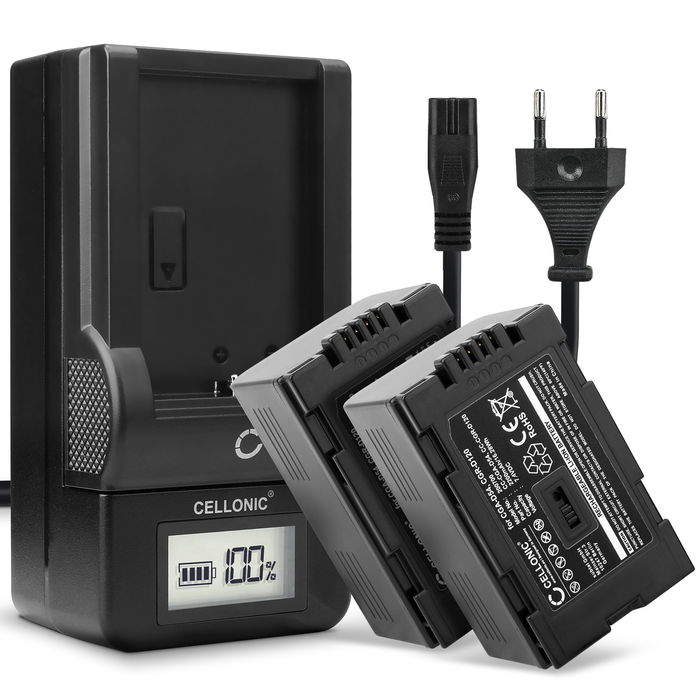 2x Batteria di ricambio per Panasonic AG-DVX100 batteria 2200mAh + Caricabatteria efficiente e durata per la tua fotocamera e videocamera