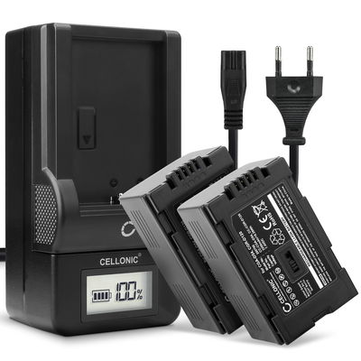 2x Batteria per Panasonic AG-DVX100 NV-GS11 NV-DS60 NV-GS1 NV-DS27 NV-DS29 NV-MX500 NV-DA1 NV-DS15 - CGA-D54 CGR-D120 -D220 2200mAh + Caricabatteria di Ricambio sostituzione scorta