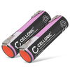 2x Batteria 2900mAh