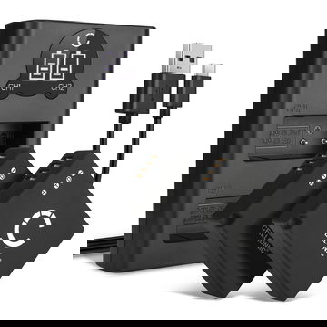 2x Batteria per Panasonic GX9 GX7 GX80 LX100 II Lumix GX80 TZ81 TZ80 TZ90 TZ95 TZ100 TZ202 DC-GX9 GF3, DMW-BLG10 - DMW-BLG10 DMW-BLE9PP 730mAh + Caricabatteria doppio DE-A98A Ricambio sostituzione scorta