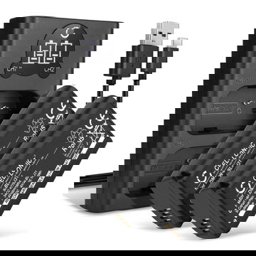 2x Batteria per Panasonic Lumix DC-S1, Lumix DC-S1H, Lumix DC-S1R - DMW-BLJ31 3400mAh + Caricabatteria doppio DMW-BTC14E Ricambio sostituzione scorta