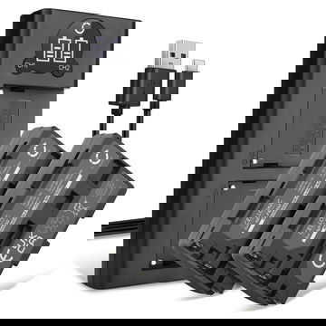 2x Batteria per Sony Alpha 100 A100 F828 F717 R1 S85 TRV118 TRV350 TRV330 TRV340 NPFM30 NPFM55H NPQM71 - NP-FM55H 1600mAh + Caricabatteria doppio Ricambio sostituzione scorta