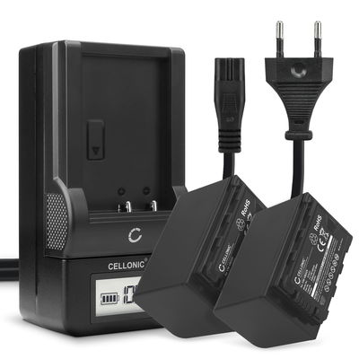 2x Batteria per Panasonic HC-X1000, HC-X1500, HC-MDH3, AG-AC8, HC-X2000 - VW-VBD58 CGA-D54 4400mAh + Caricabatteria AG-BRD50 di Ricambio sostituzione scorta