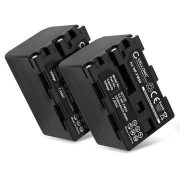 2x Batteria NP-FM50 NP-FM30 NP-QM91 NP-QM71 per fotocamera Sony HVR-A1 HDR-SR1 HDR-HC1 GV-D1000 DCR-TRV38 TRV20 TRV330 TRV285 TRV340 TRV345 TRV351 TRV355 Affidabile ricambio da 3200mAh, marca CELLONIC