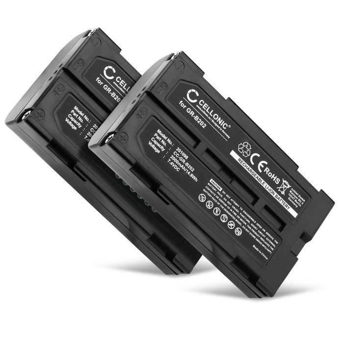 2x Batteria per Panasonic NV-DX100 Accu 2000mAh Batteria ricambio