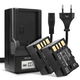 2x Batteria 1500mAh + Caricabatteria