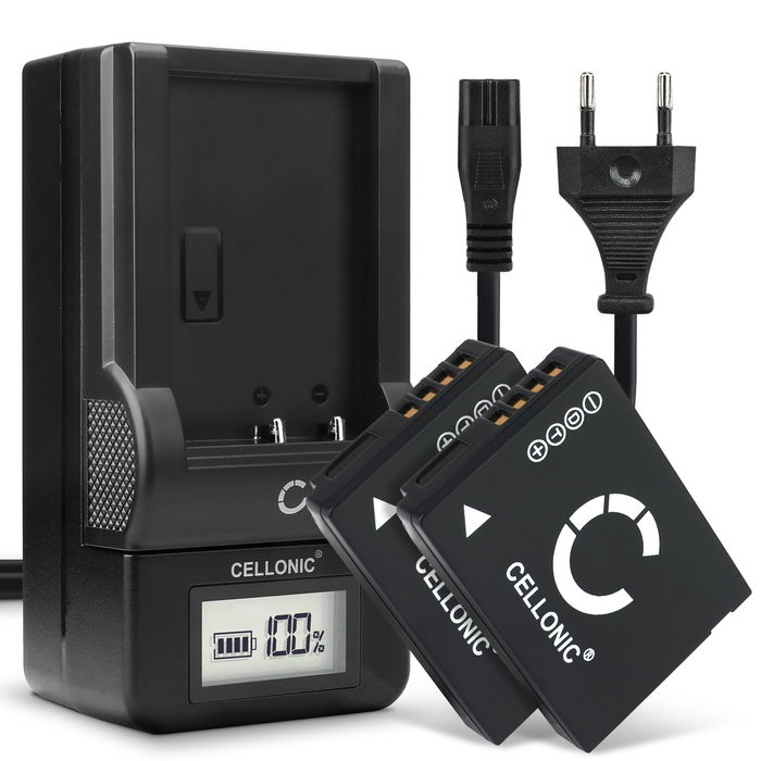 2x Batteria di ricambio per Leica V-LUX 40 batteria 890mAh + Caricabatteria efficiente e durata per la tua fotocamera e videocamera