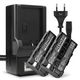 2x Batteria 2600mAh + Caricabatteria