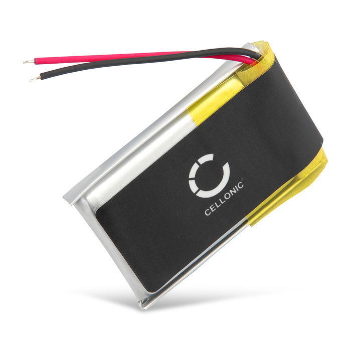 Batteria di ricambio per Bosch Intuvia Display batteria sostitutiva 250mAh , per terminale GPS navigatore